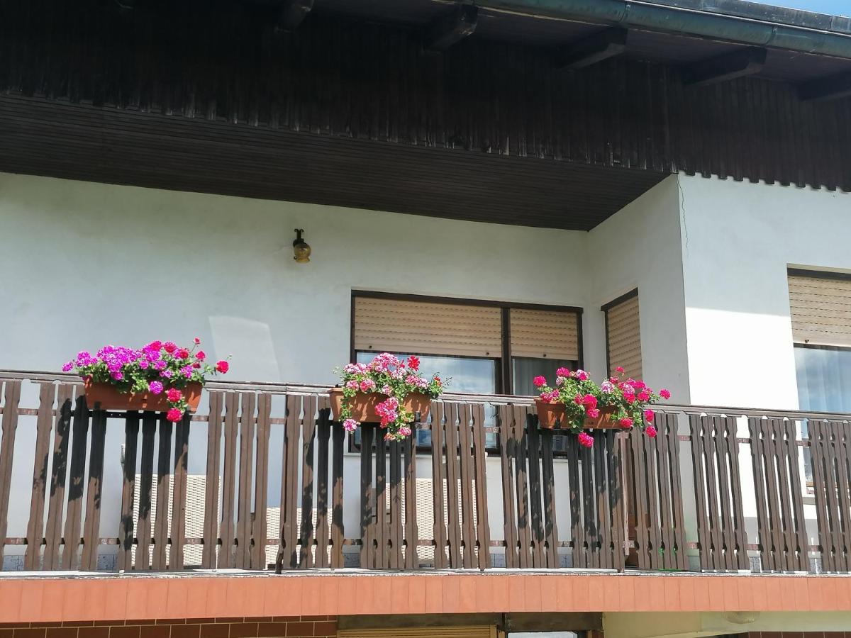 Ljubno Apartments Novak מראה חיצוני תמונה