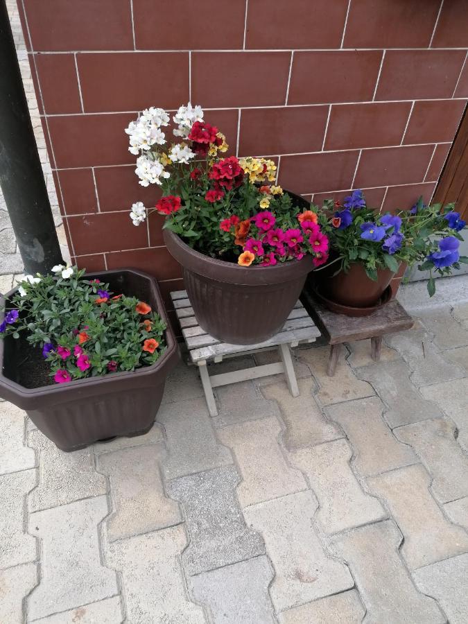 Ljubno Apartments Novak מראה חיצוני תמונה