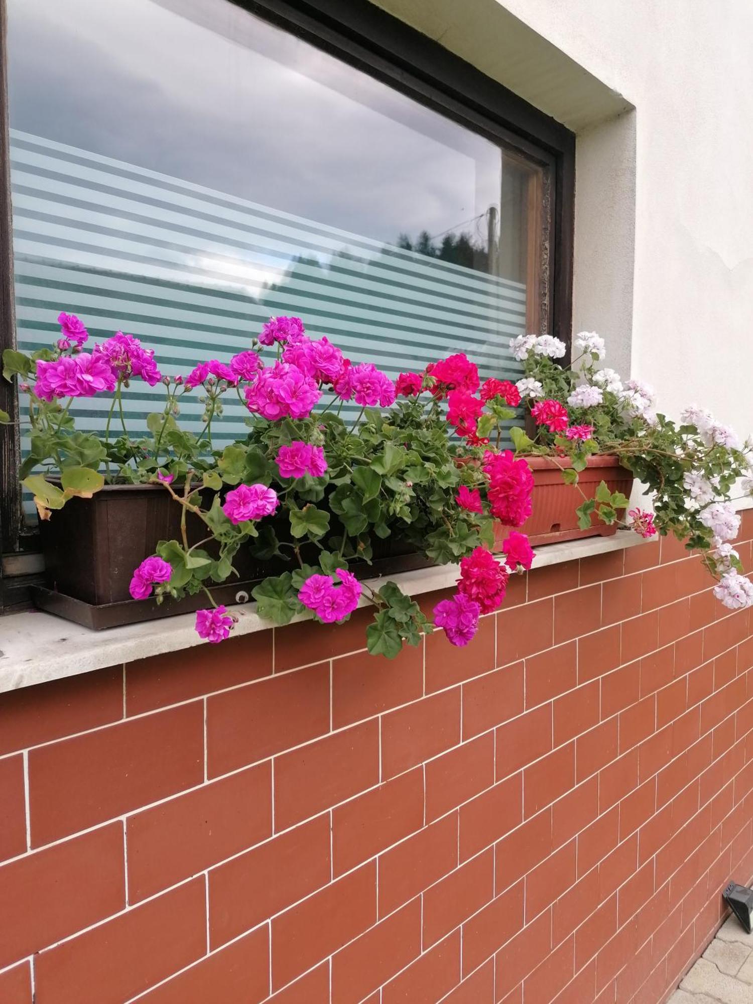 Ljubno Apartments Novak מראה חיצוני תמונה