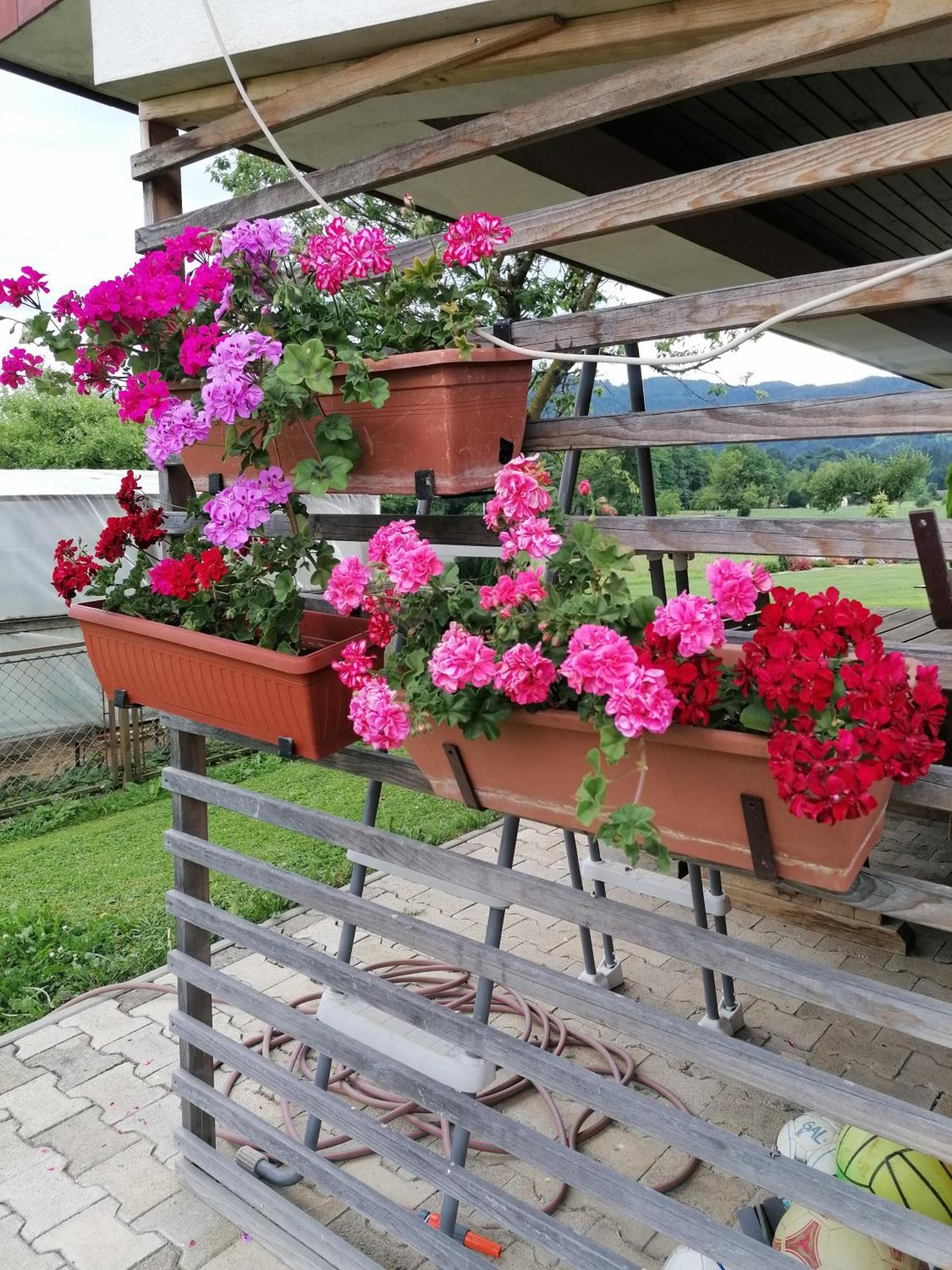 Ljubno Apartments Novak מראה חיצוני תמונה